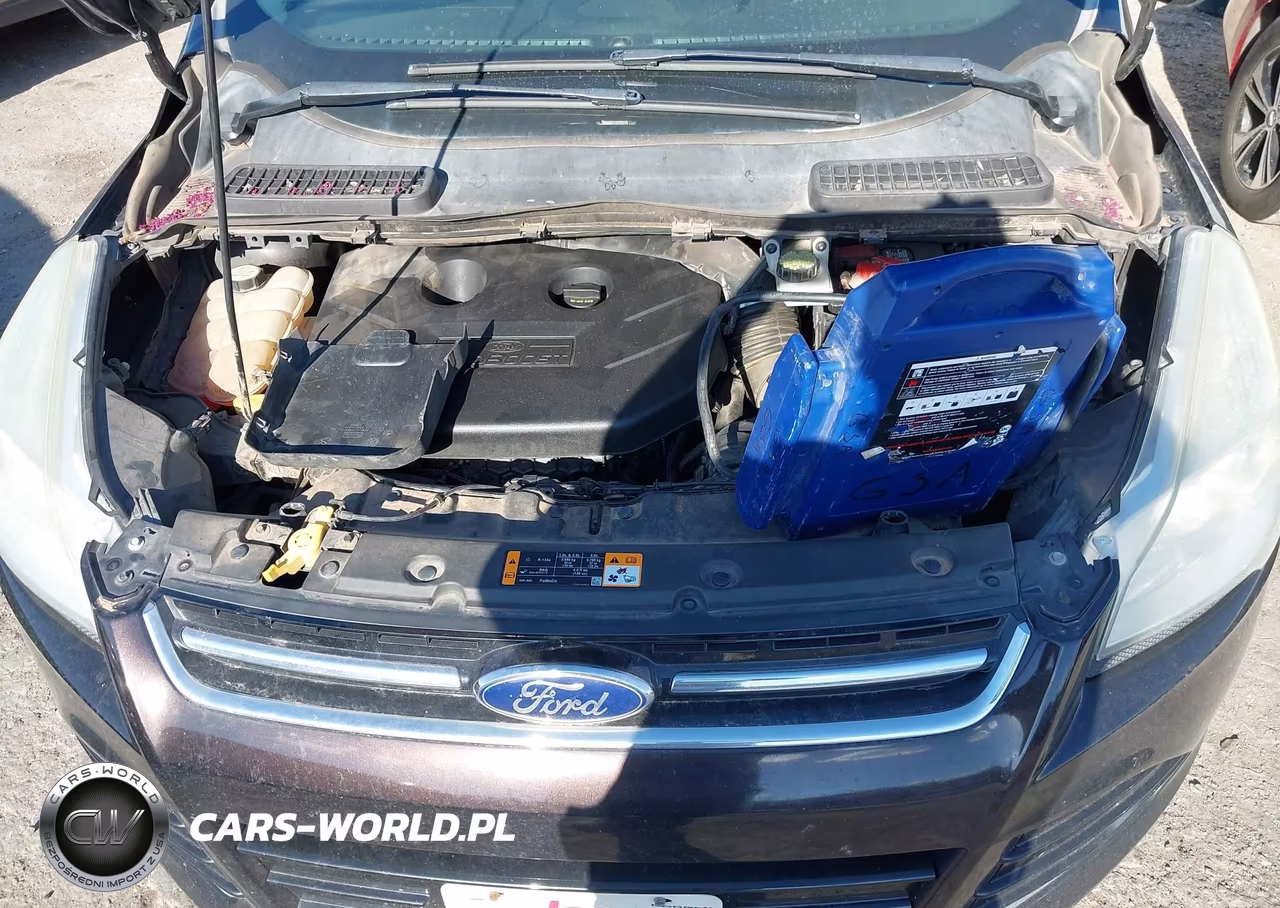 2013 Ford Escape Sel VIN:1FMCU9H97DUC78445 - 10