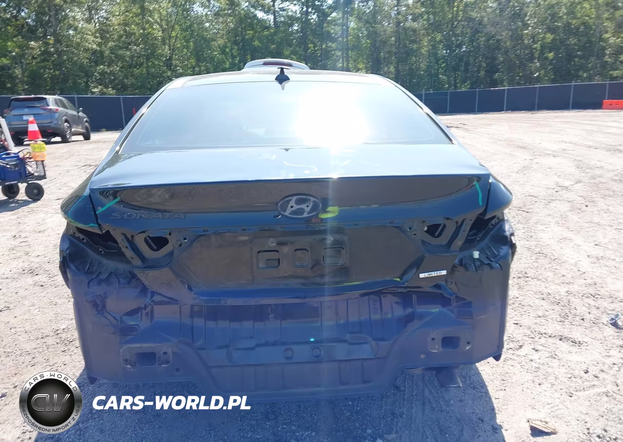 2013 Hyundai Sonata Limited VIN:5NPEC4AC9DH625261 - 17