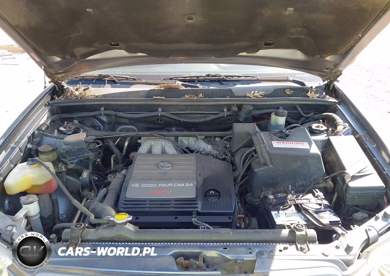 2003 Toyota Highlander V6 VIN:JTEGF21AX30090287 - 10