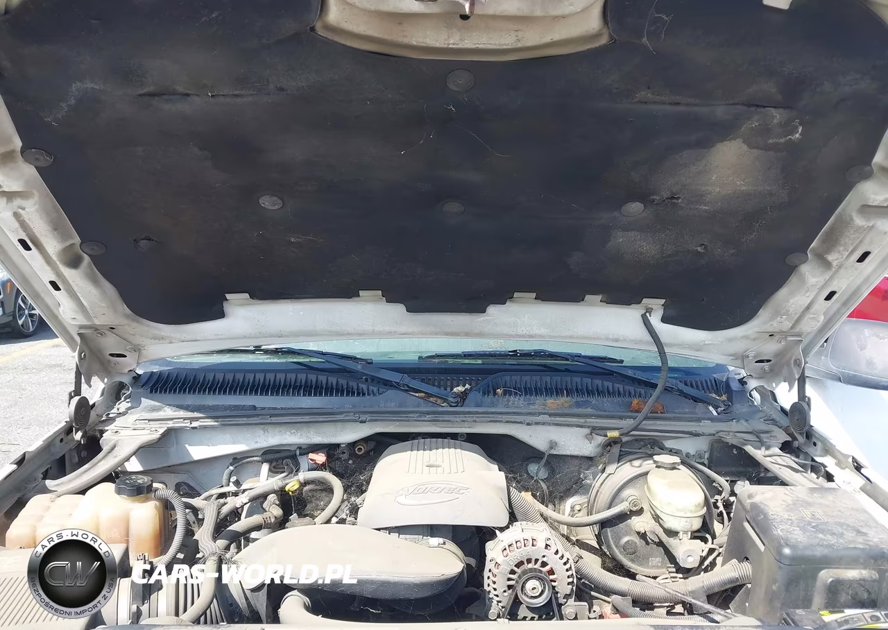 2005 Chevrolet Silverado 1500 Ls VIN:1GCEC19V45Z251950 - 10