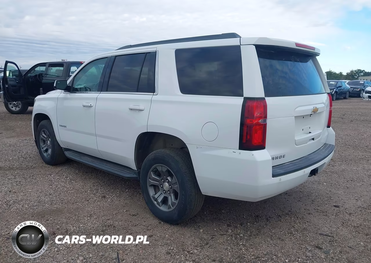 2018 Chevrolet Tahoe Ls VIN:1GNSKAECXJR310219 - 3