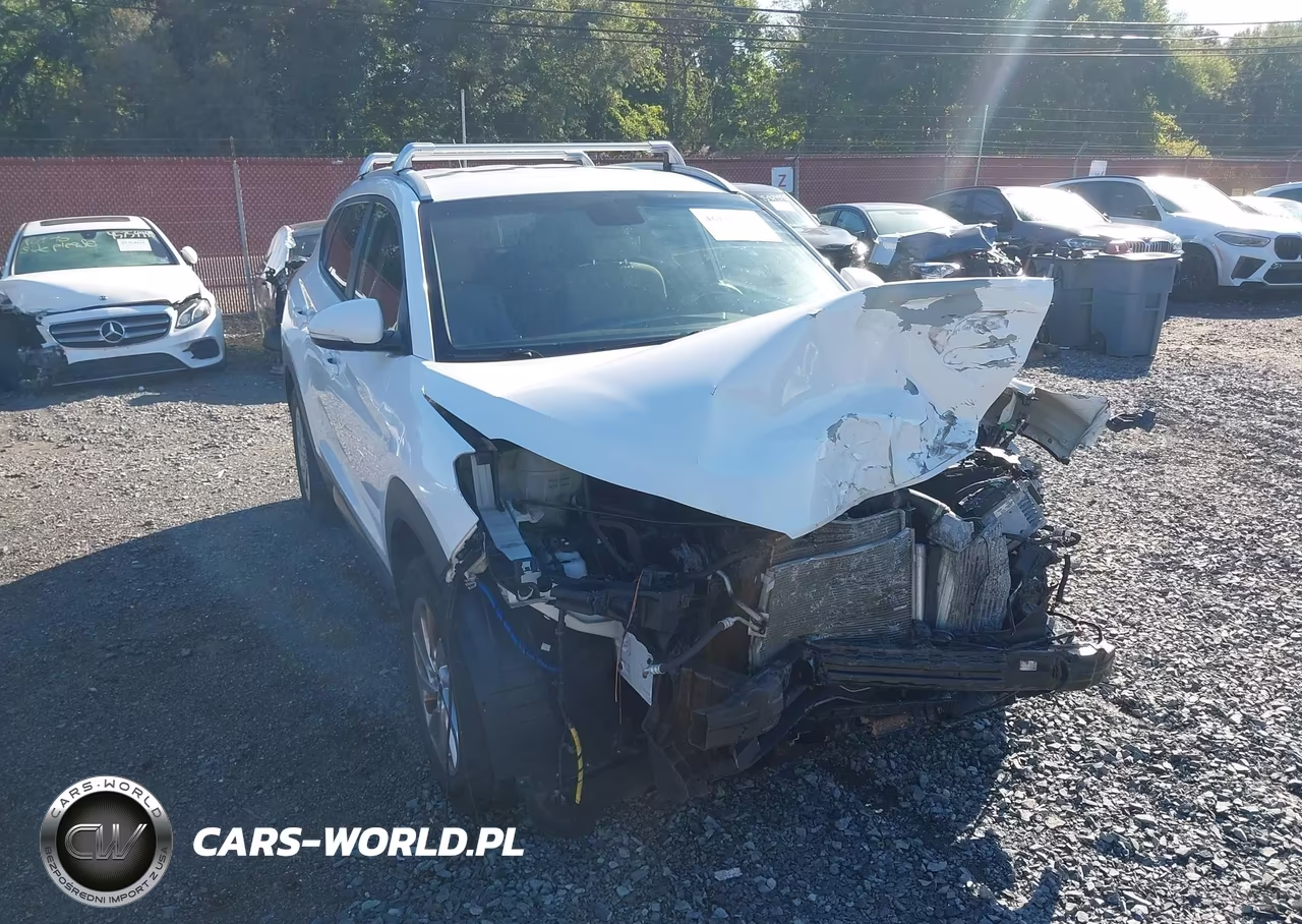 2016 Hyundai Tucson Eco VIN:KM8J3CA25GU183200 - 17