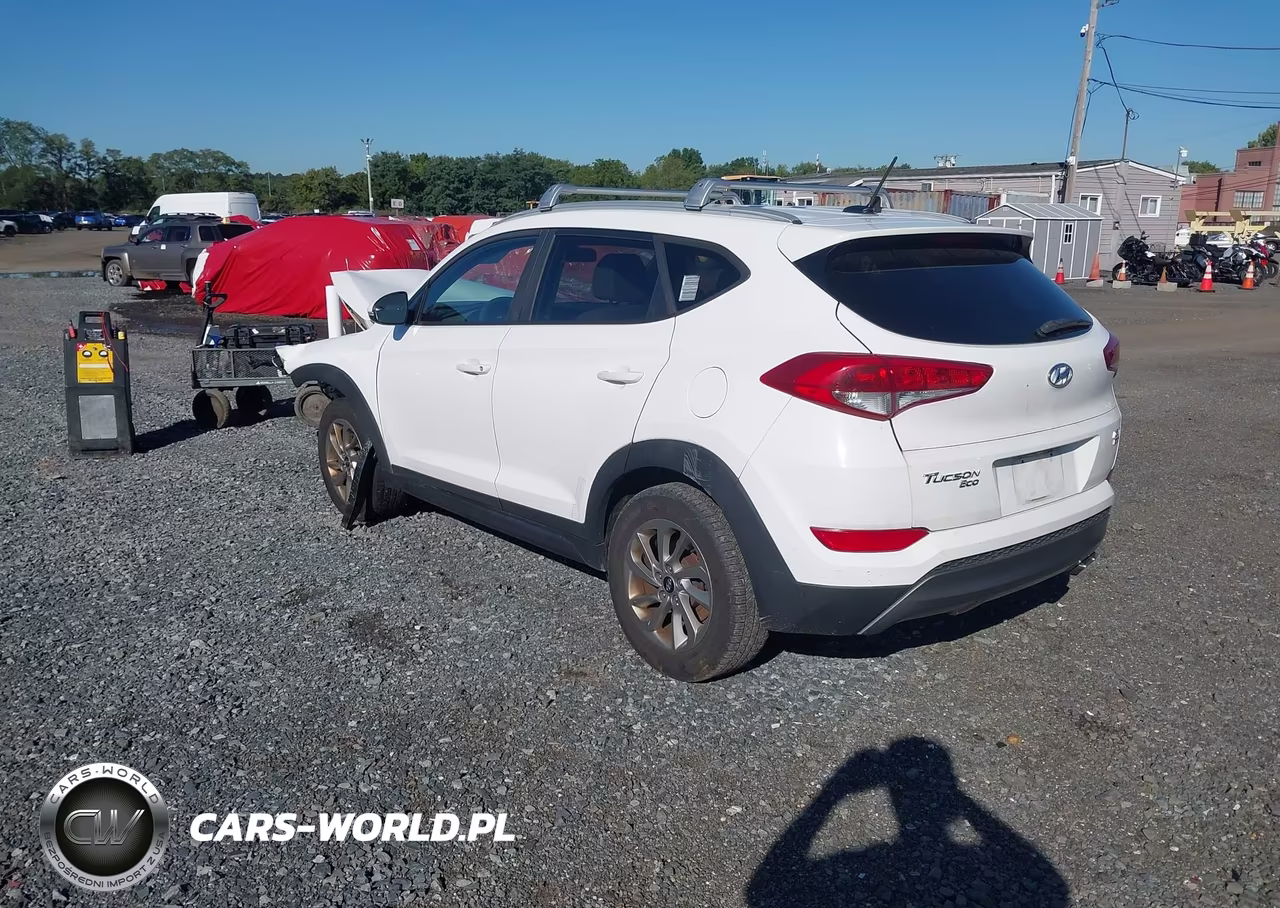 2016 Hyundai Tucson Eco VIN:KM8J3CA25GU183200 - 3