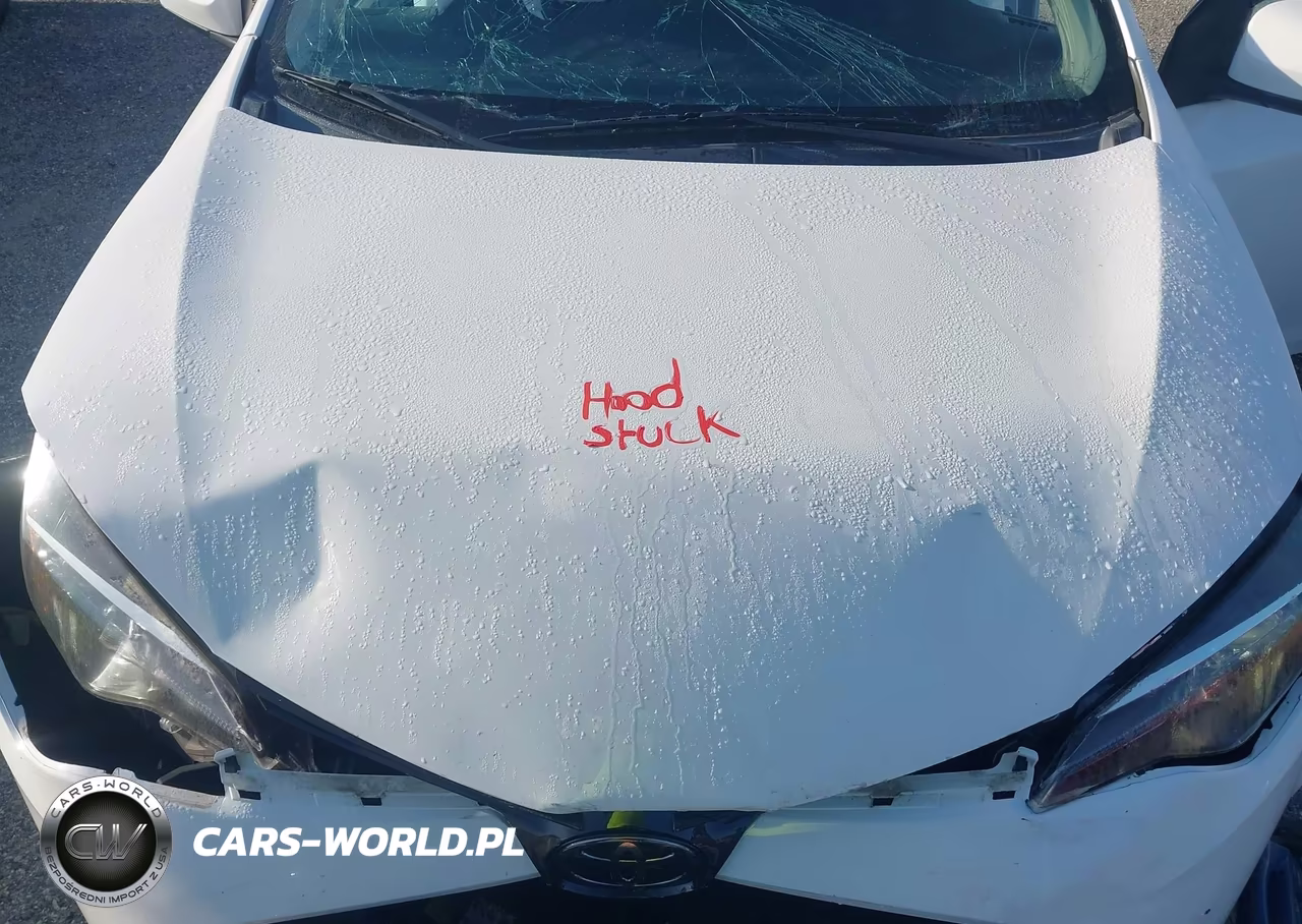 2017 Toyota Corolla Le VIN:5YFBURHE8HP570461 - 10