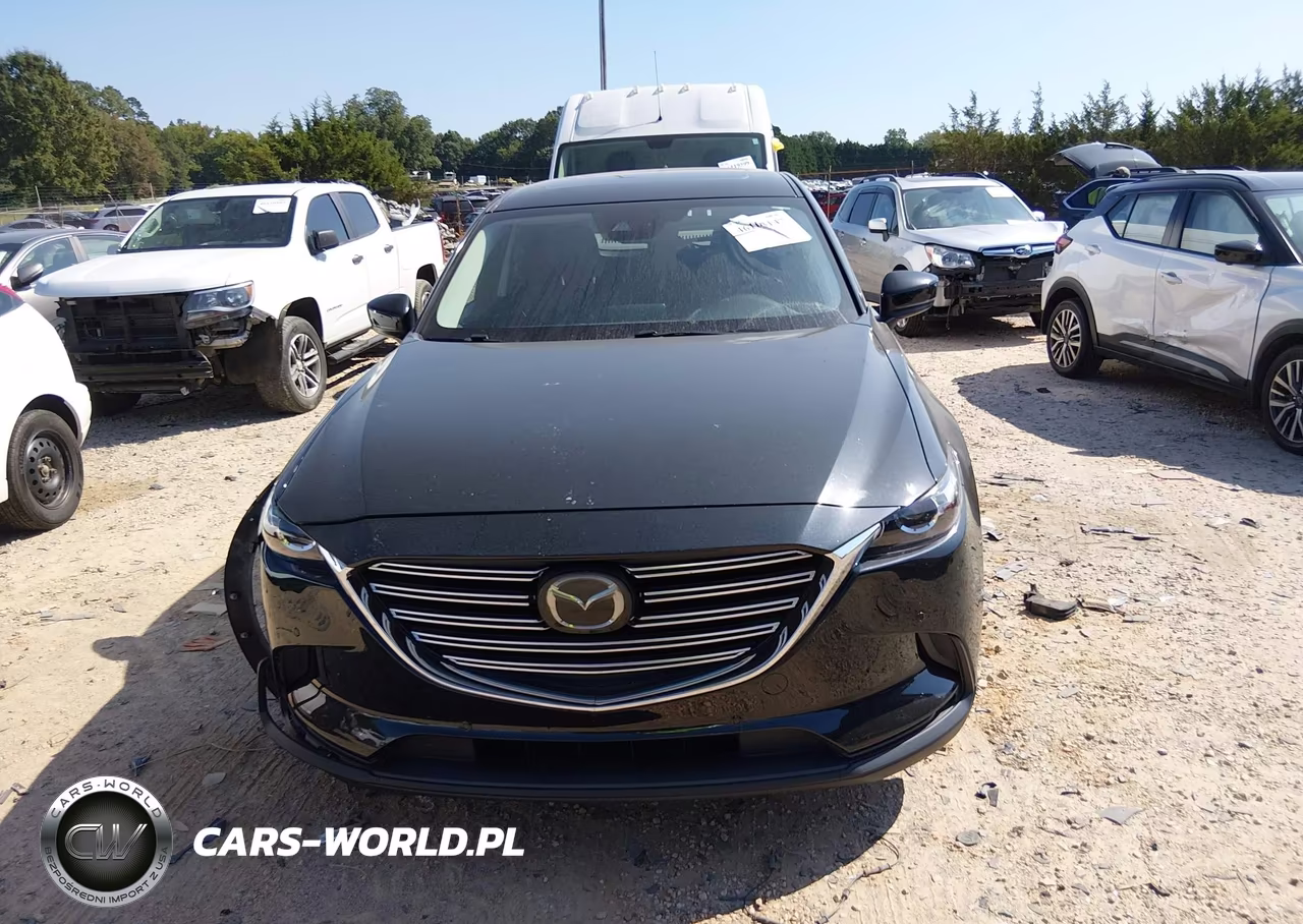 2019 Mazda Cx-9 Touring VIN:JM3TCBCY2K0336180 - 12