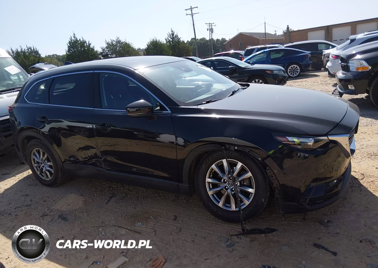 2019 Mazda Cx-9 Touring VIN:JM3TCBCY2K0336180 - 13