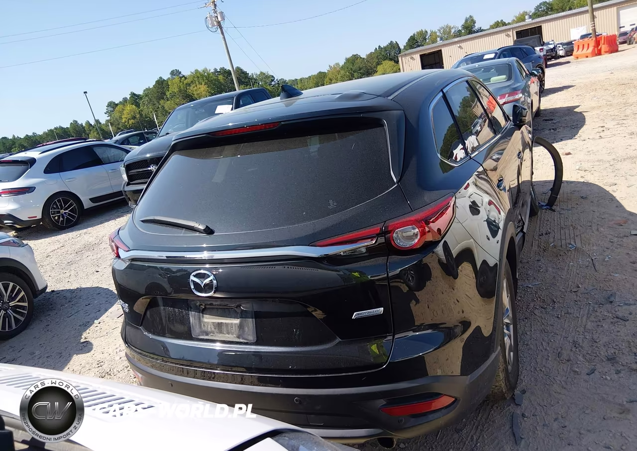 2019 Mazda Cx-9 Touring VIN:JM3TCBCY2K0336180 - 16
