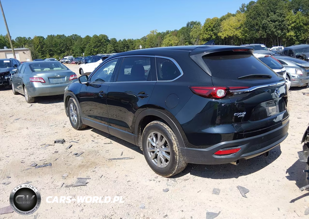 2019 Mazda Cx-9 Touring VIN:JM3TCBCY2K0336180 - 3