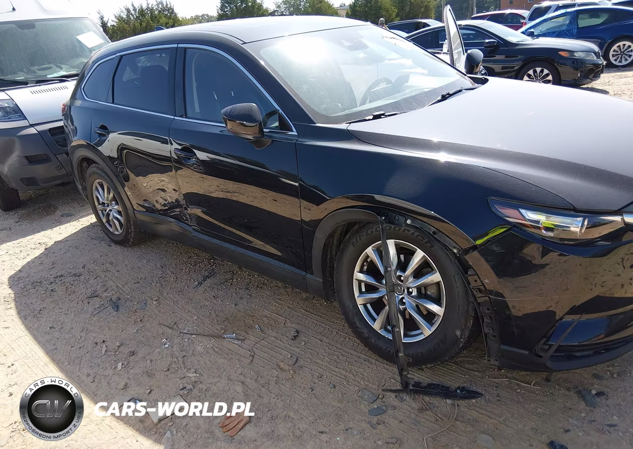 2019 Mazda Cx-9 Touring VIN:JM3TCBCY2K0336180 - 6
