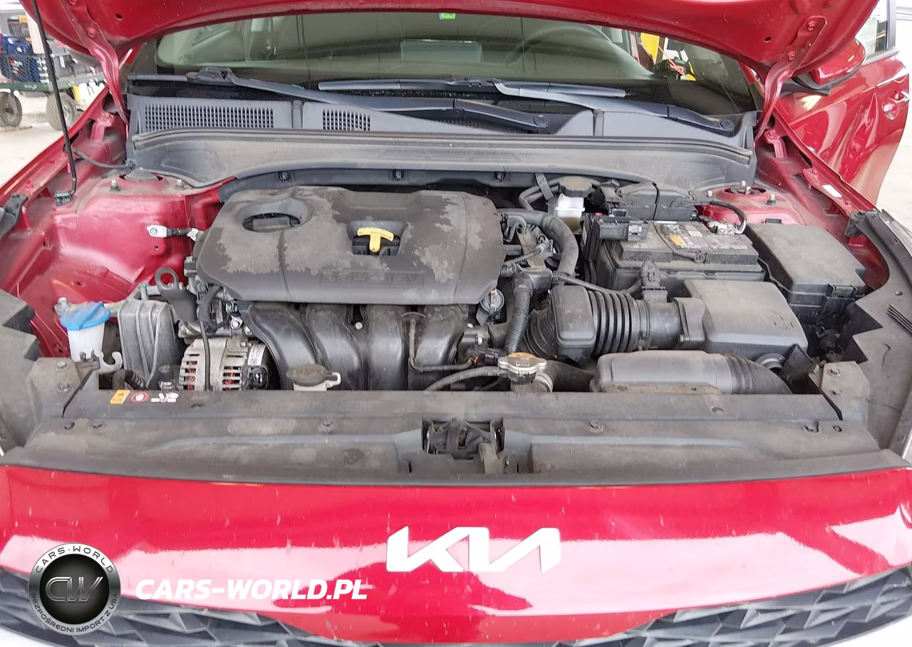 2022 Kia Forte Lxs VIN:3KPF24AD4NE495251 - 10