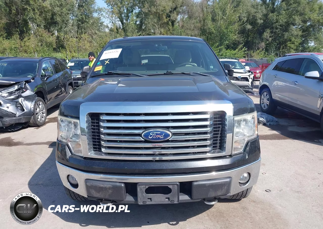 2010 Ford F-150 Fx4-Lariat-Xl-Xlt VIN:1FTFX1EV1AFC97360 - 12