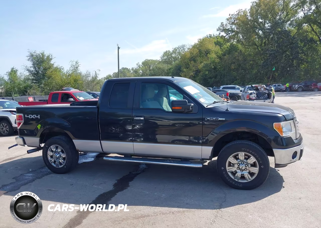 2010 Ford F-150 Fx4-Lariat-Xl-Xlt VIN:1FTFX1EV1AFC97360 - 13