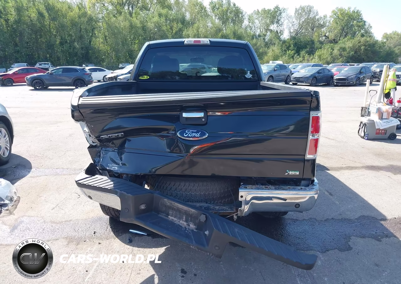 2010 Ford F-150 Fx4-Lariat-Xl-Xlt VIN:1FTFX1EV1AFC97360 - 16