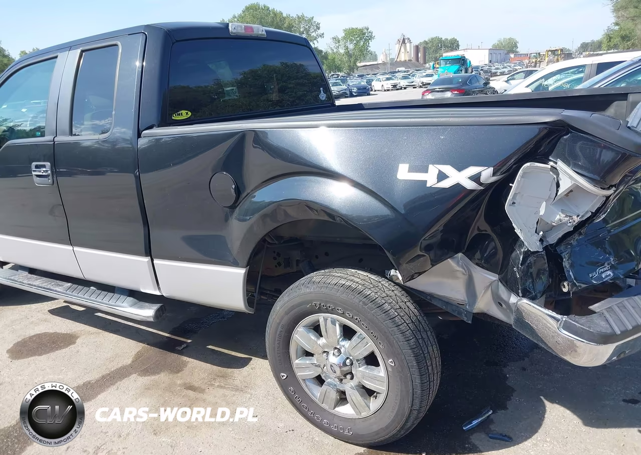 2010 Ford F-150 Fx4-Lariat-Xl-Xlt VIN:1FTFX1EV1AFC97360 - 18