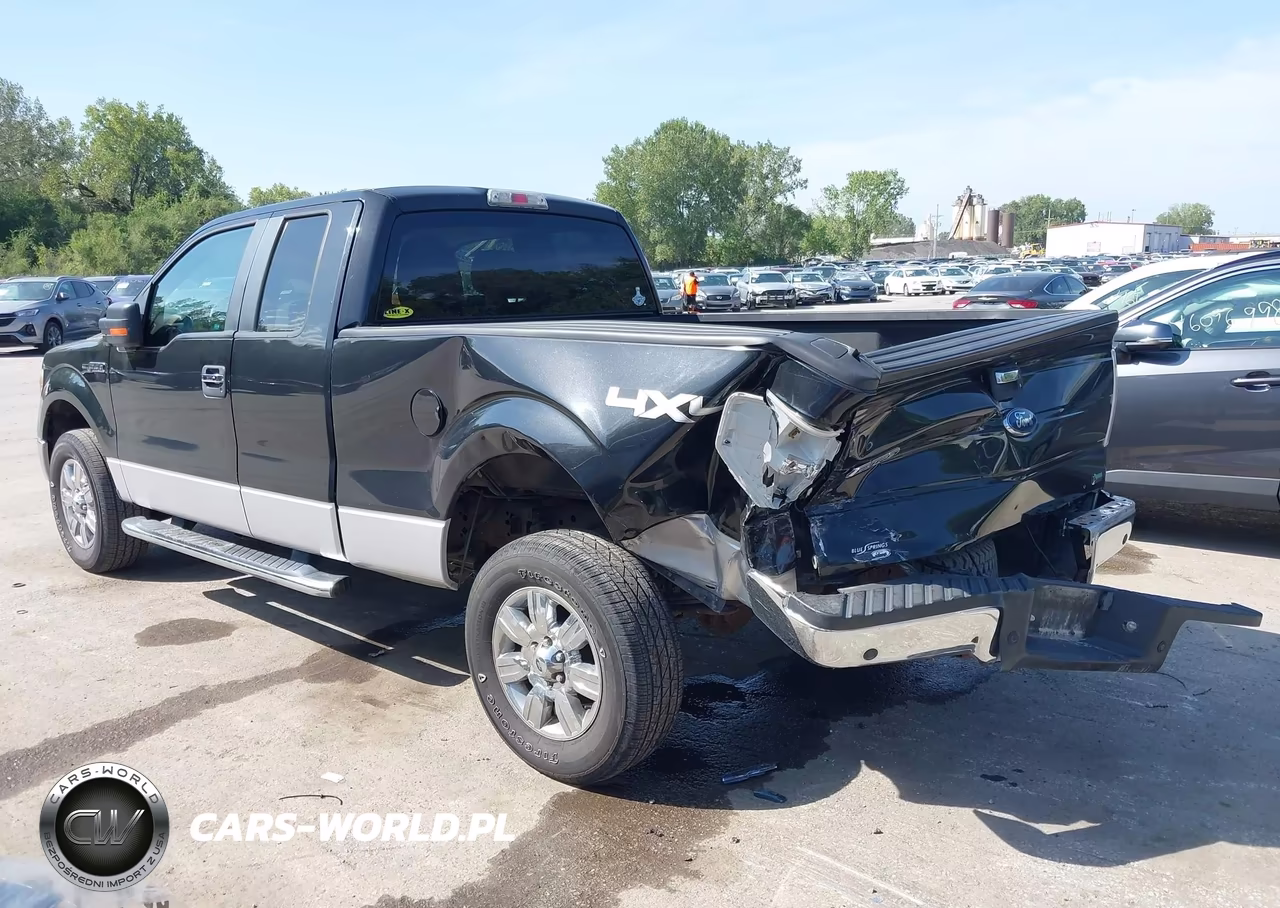 2010 Ford F-150 Fx4-Lariat-Xl-Xlt VIN:1FTFX1EV1AFC97360 - 3