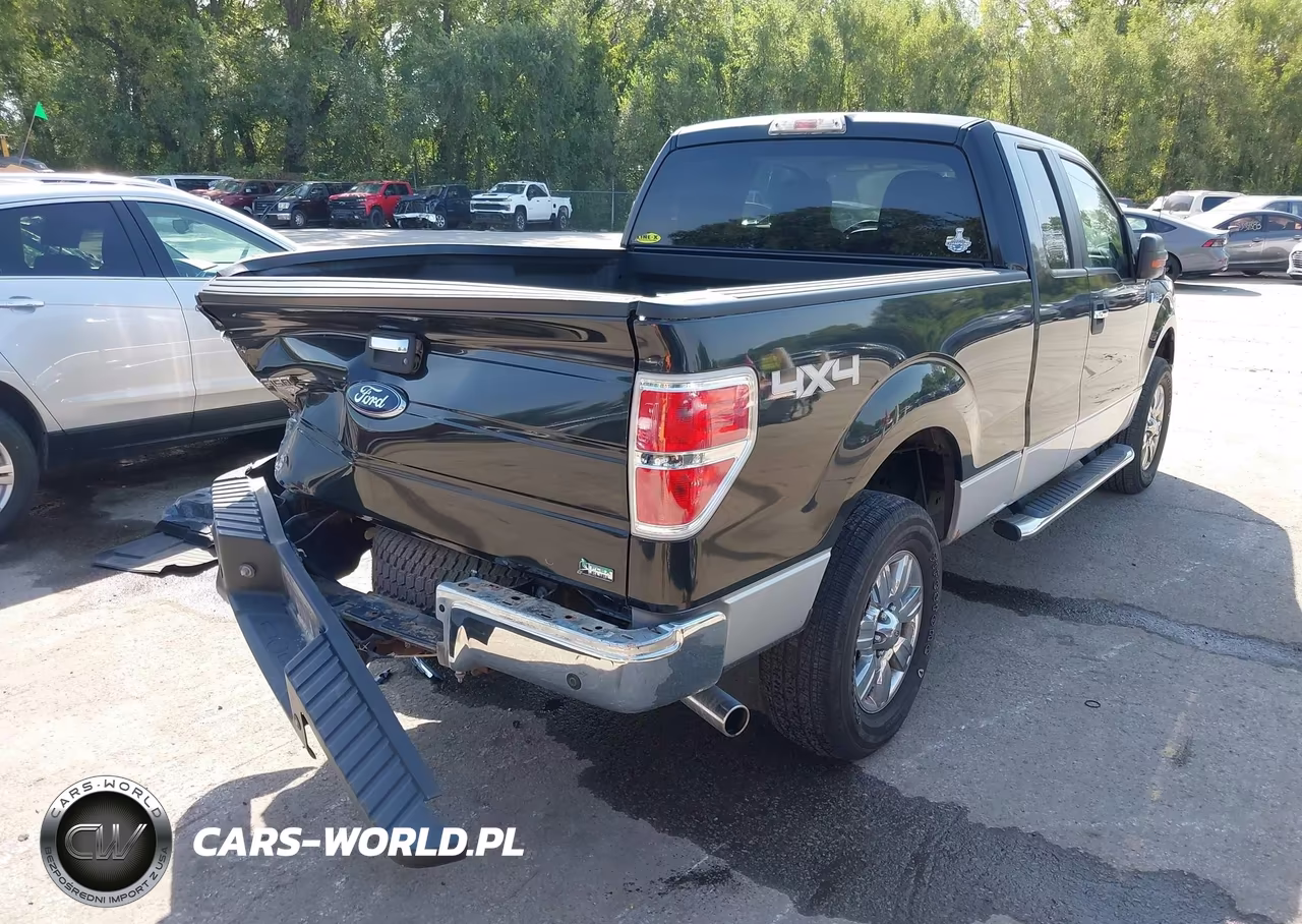 2010 Ford F-150 Fx4-Lariat-Xl-Xlt VIN:1FTFX1EV1AFC97360 - 4