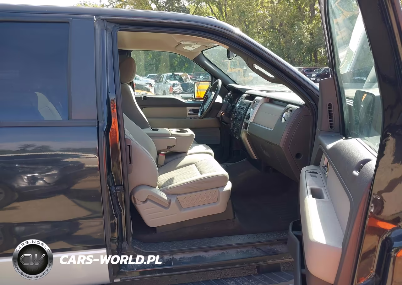 2010 Ford F-150 Fx4-Lariat-Xl-Xlt VIN:1FTFX1EV1AFC97360 - 5