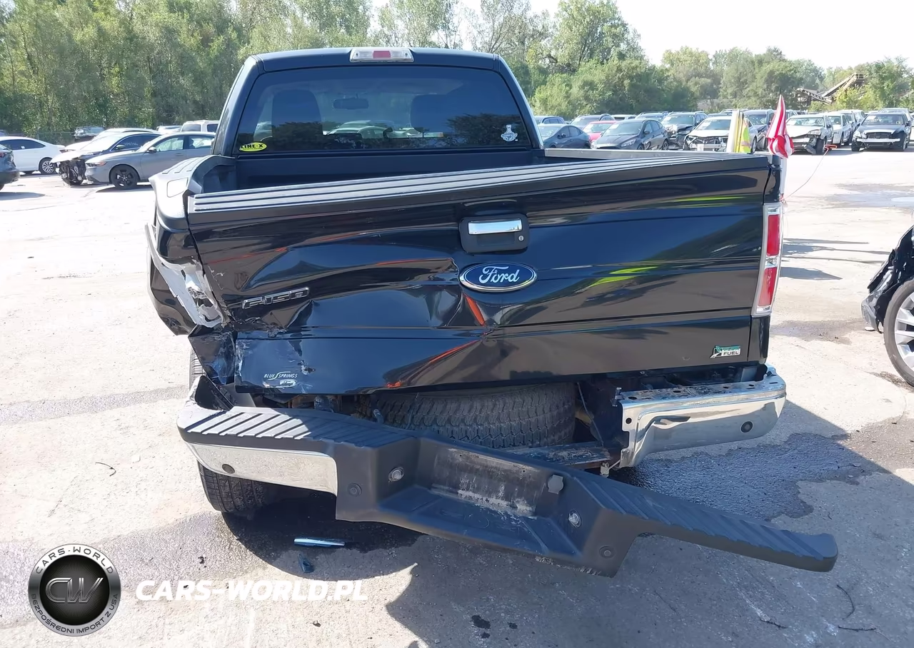2010 Ford F-150 Fx4-Lariat-Xl-Xlt VIN:1FTFX1EV1AFC97360 - 6