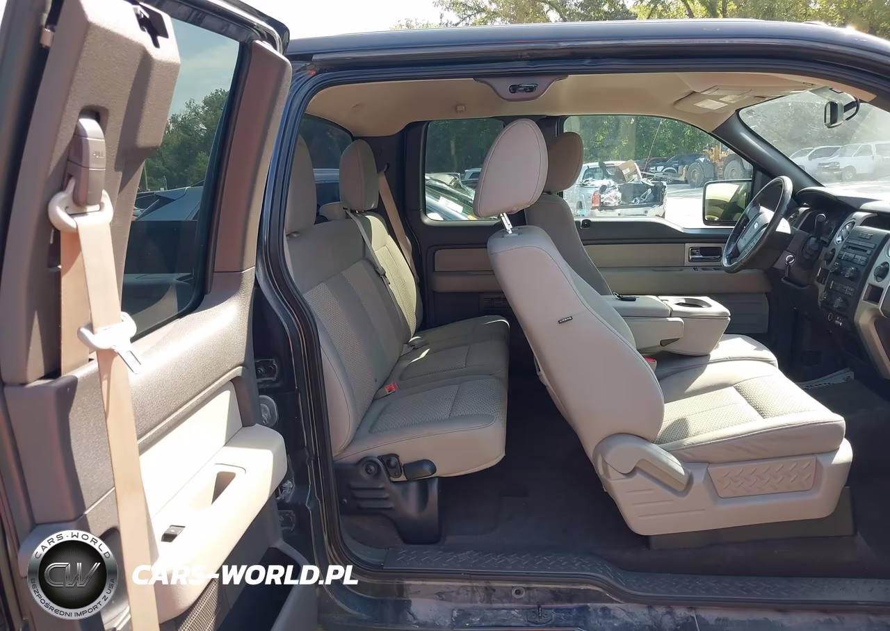 2010 Ford F-150 Fx4-Lariat-Xl-Xlt VIN:1FTFX1EV1AFC97360 - 8