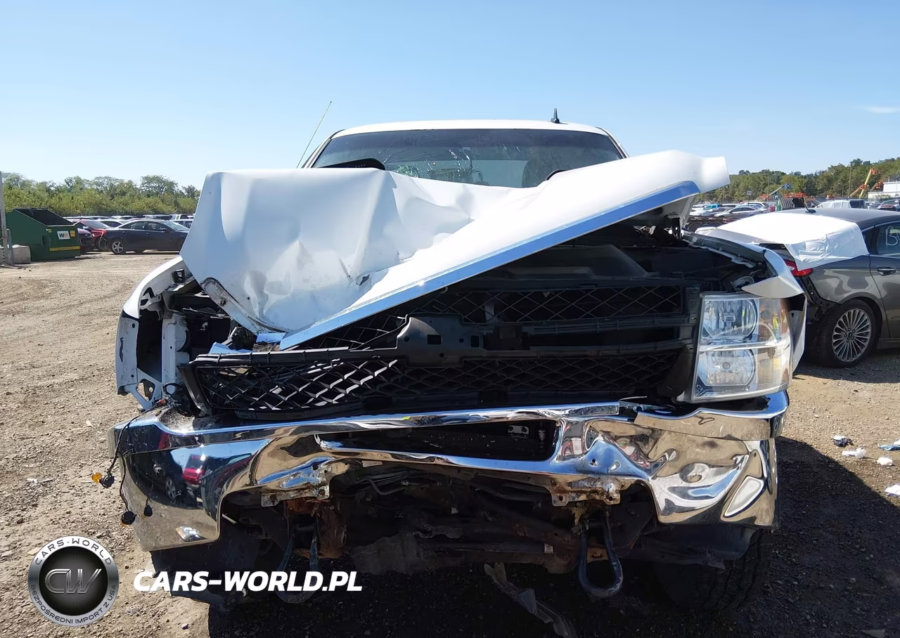 2013 Chevrolet Silverado 2500Hd Work Truck VIN:1GC2KVCGXDZ368020 - 13