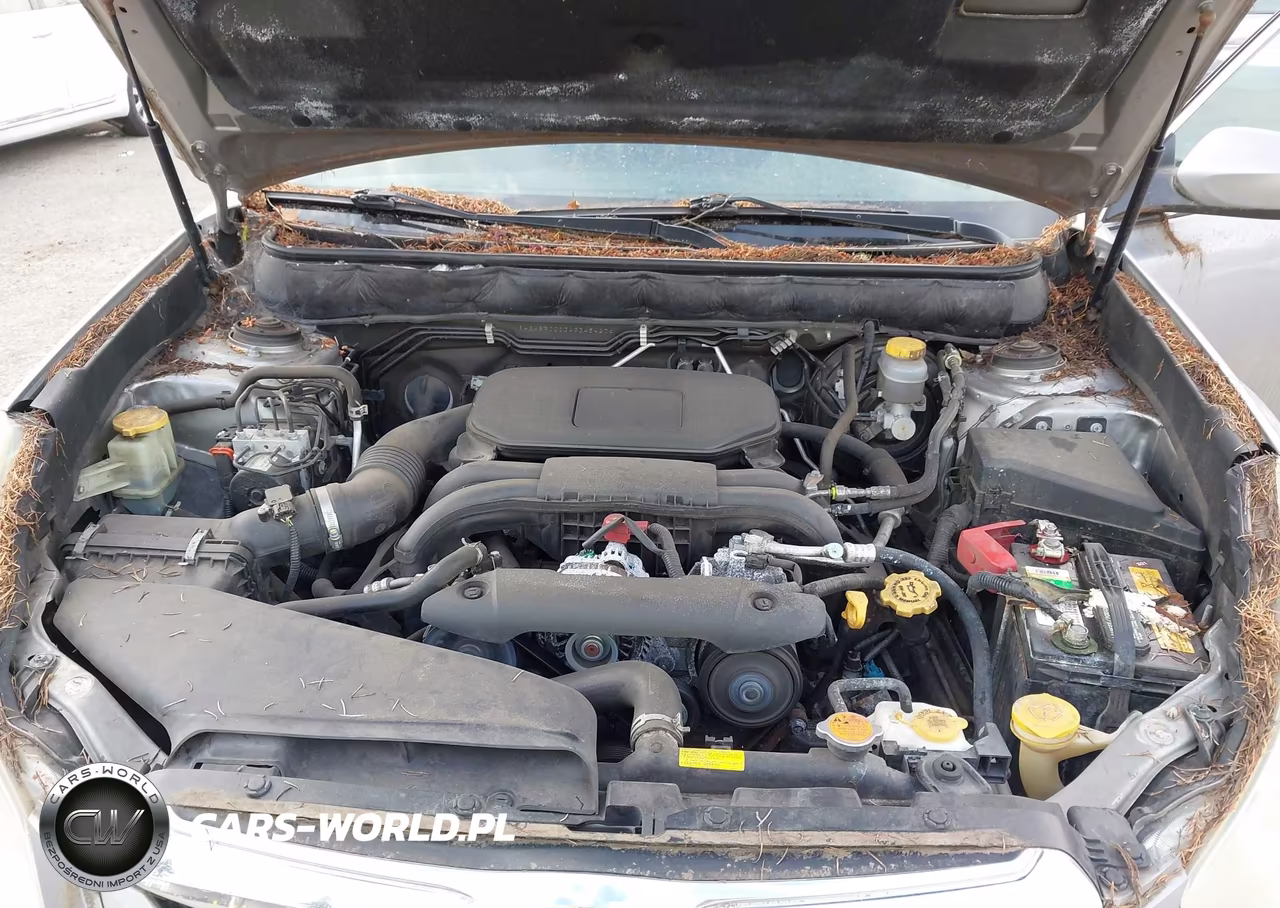 2010 Subaru Outback 2.5I Premium VIN:4S4BRCCC3A3345427 - 10