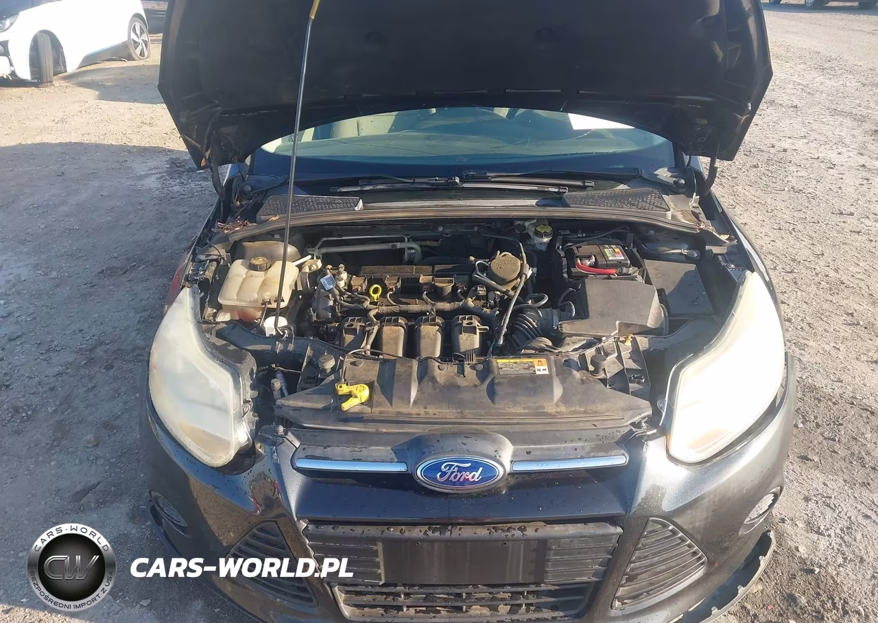 2014 Ford Focus Se VIN:1FADP3F21EL117704 - 10