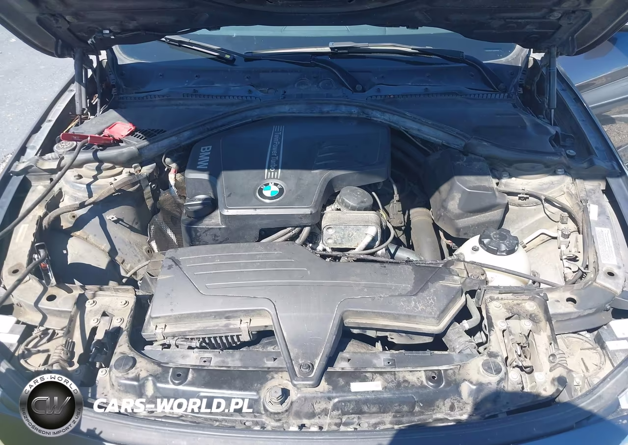 2014 BMW 428I xDrive VIN:WBA3N9C54EF722325 - 10