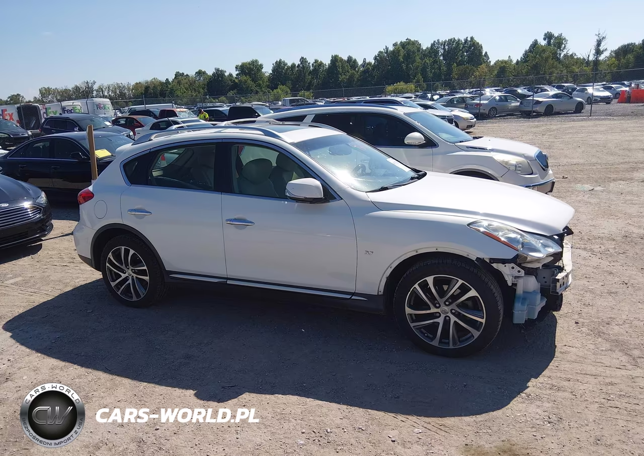 2017 Infiniti Qx50 VIN:JN1BJ0RP3HM389469 - 18
