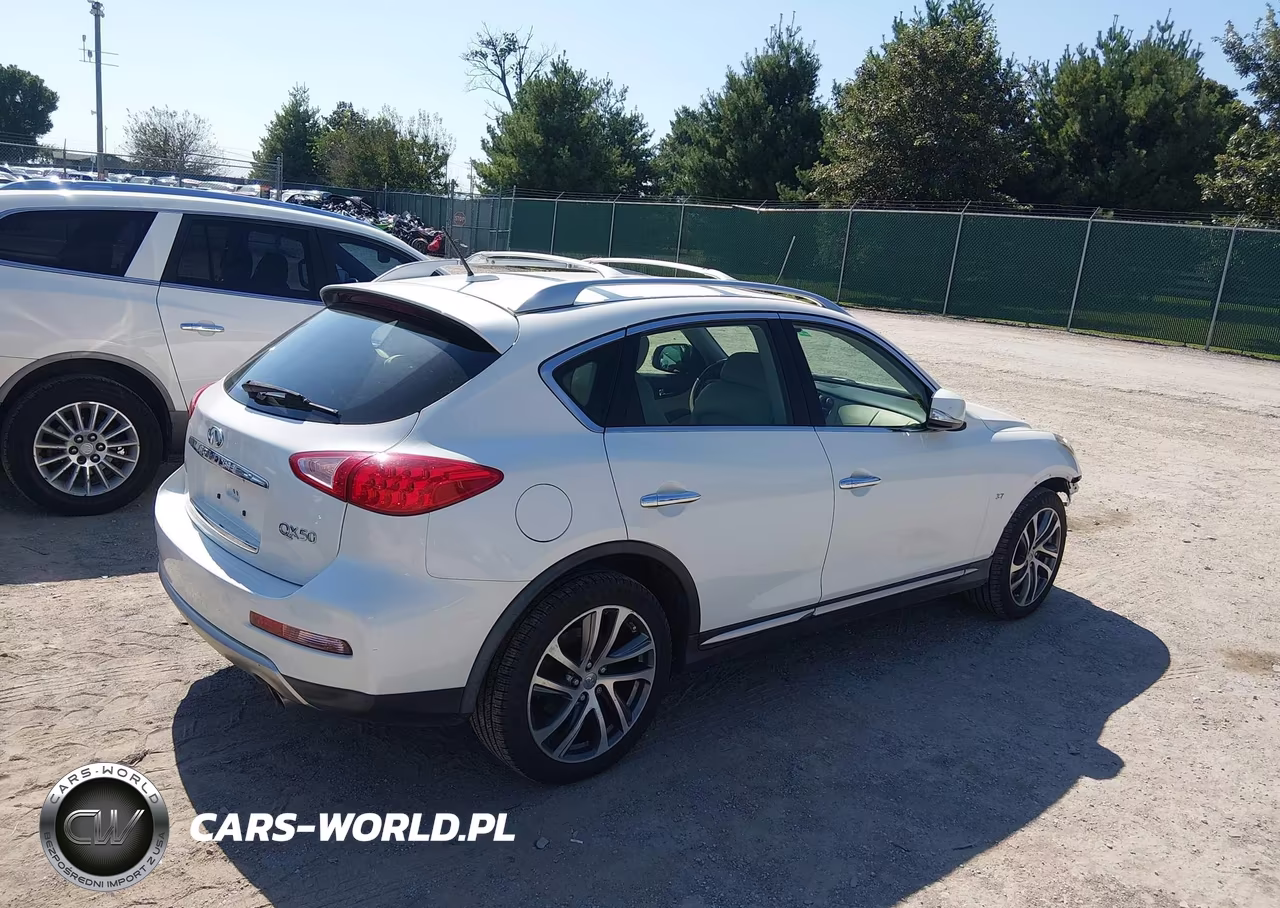 2017 Infiniti Qx50 VIN:JN1BJ0RP3HM389469 - 19