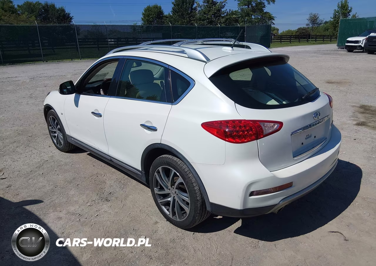 2017 Infiniti Qx50 VIN:JN1BJ0RP3HM389469 - 3