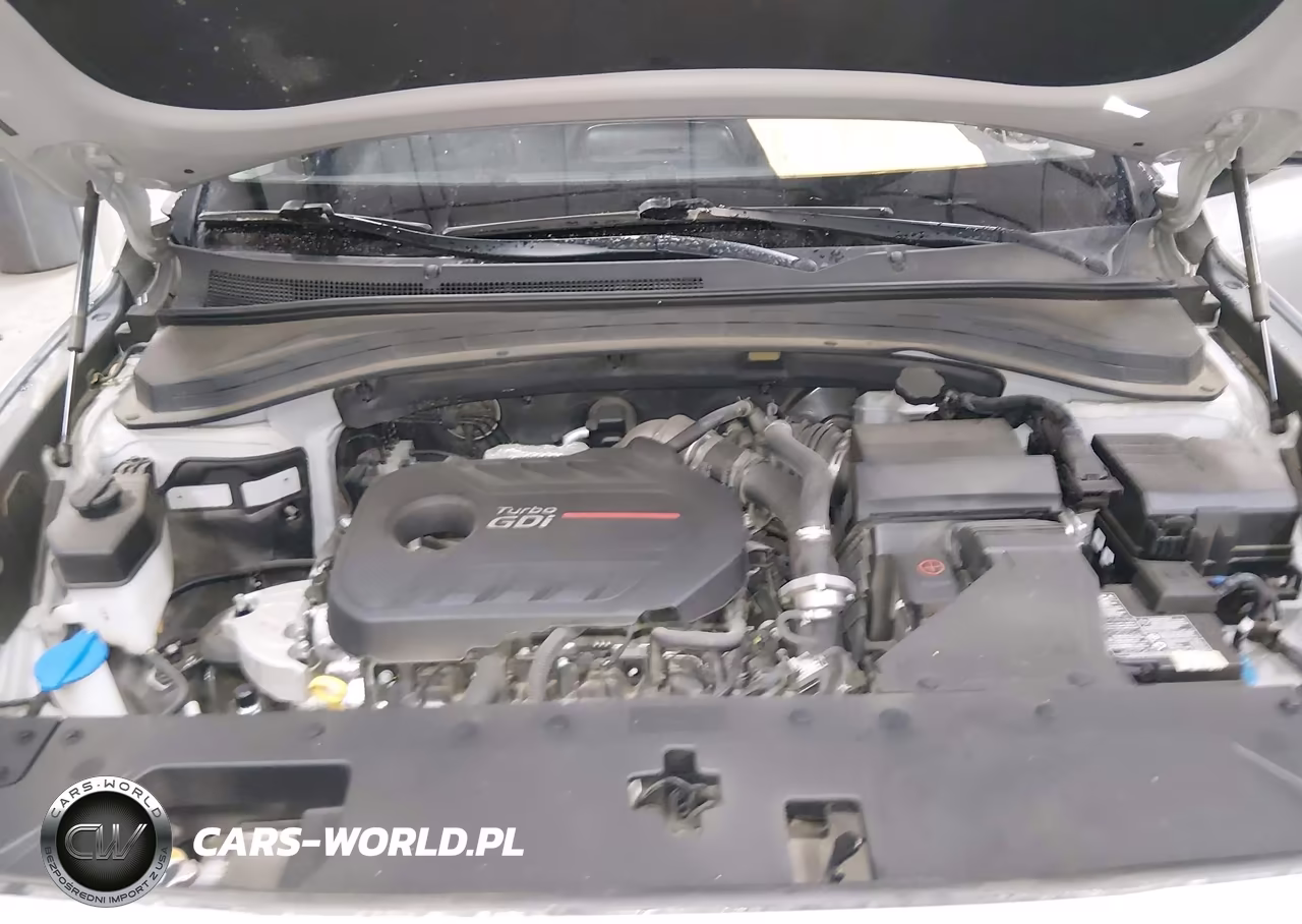 2020 Hyundai Santa Fe Sel 2.0T VIN:5NMS3CAA8LH277802 - 10