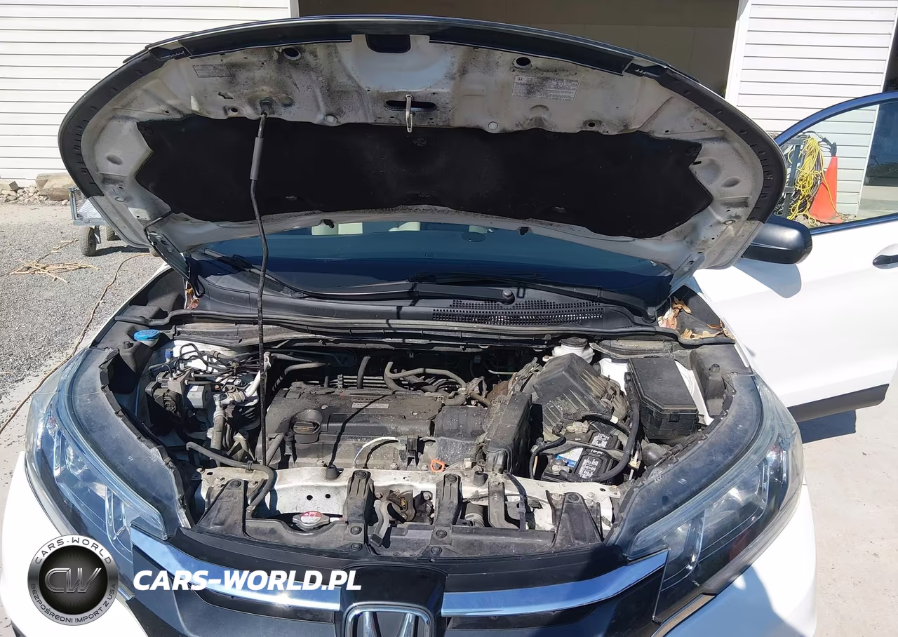 2016 Honda Cr-V Lx VIN:5J6RM4H39GL004195 - 10