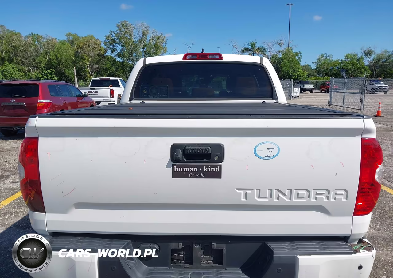 2020 Toyota Tundra 1794 Edition VIN:5TFGY5F1XLX262950 - 16