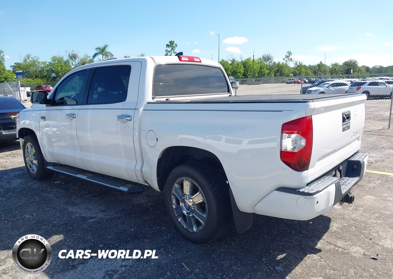 2020 Toyota Tundra 1794 Edition VIN:5TFGY5F1XLX262950 - 3