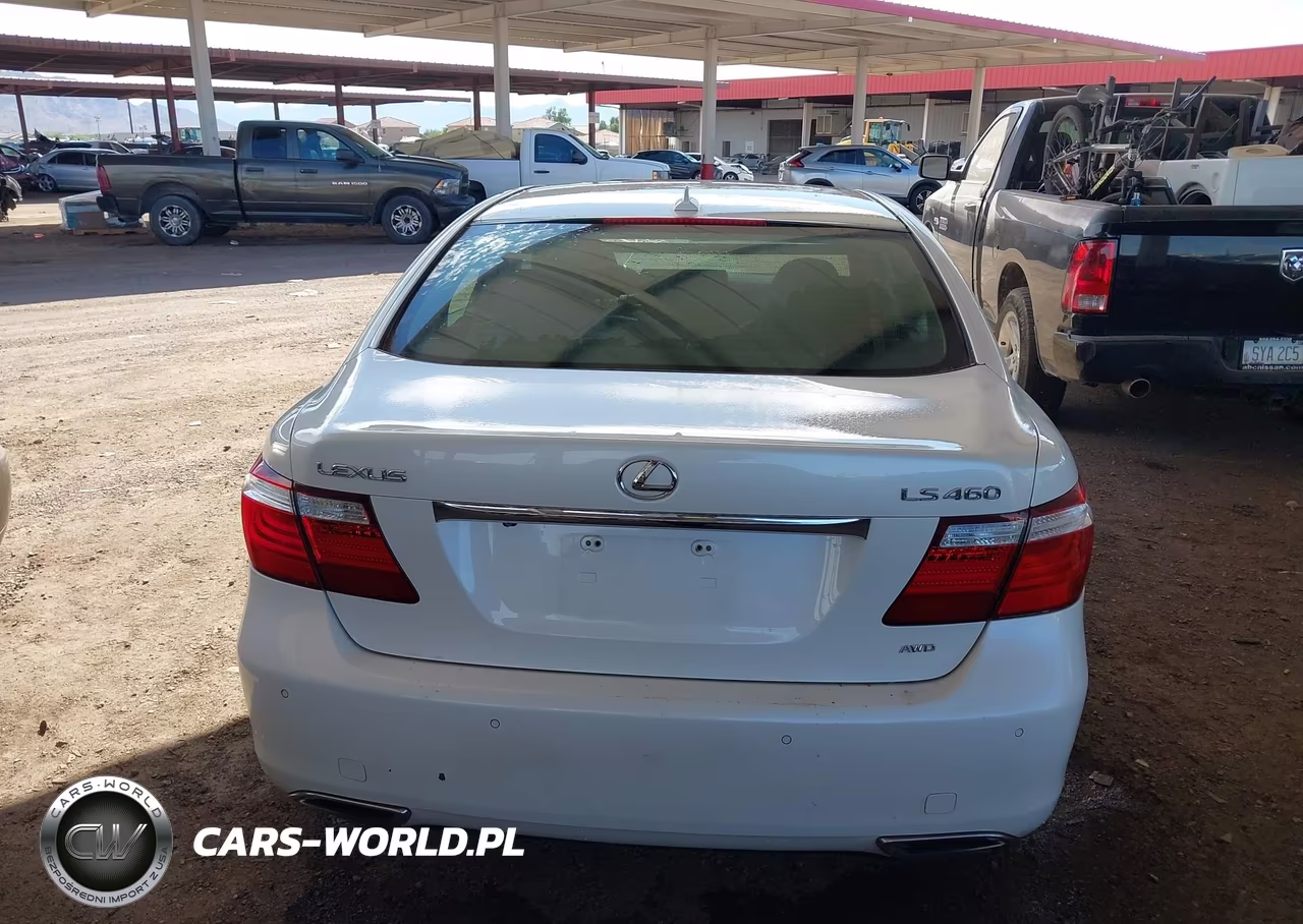 2009 Lexus Ls 460 VIN:JTHCL46F195003317 - 15