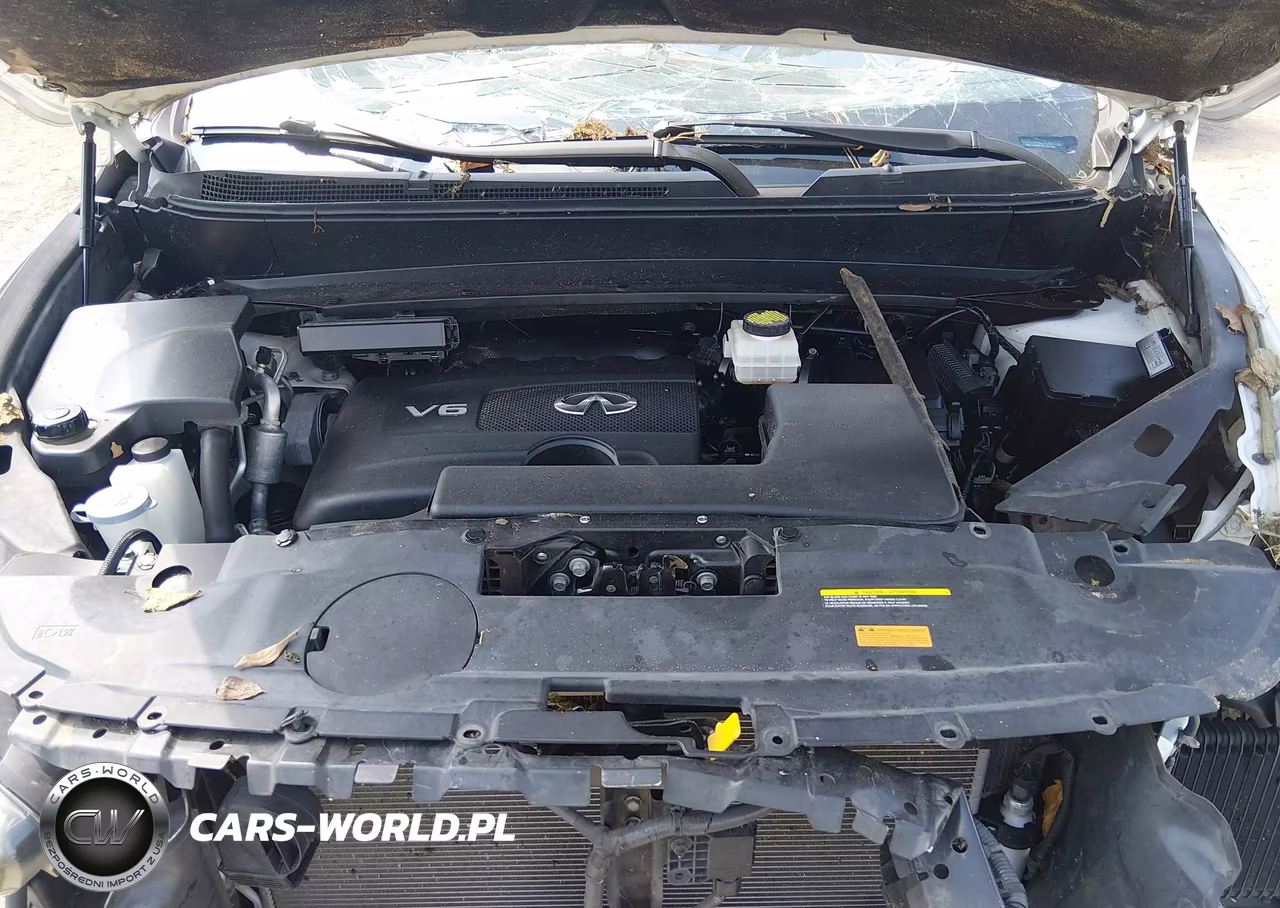 2019 Infiniti Qx60 Luxe VIN:5N1DL0MN7KC561954 - 10