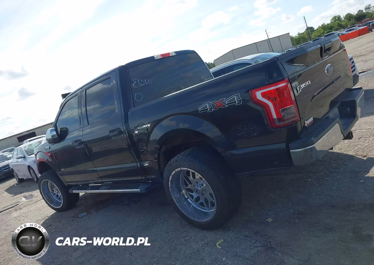 2015 Ford F-150 Xlt VIN:1FTEW1EP9FKE83811 - 13