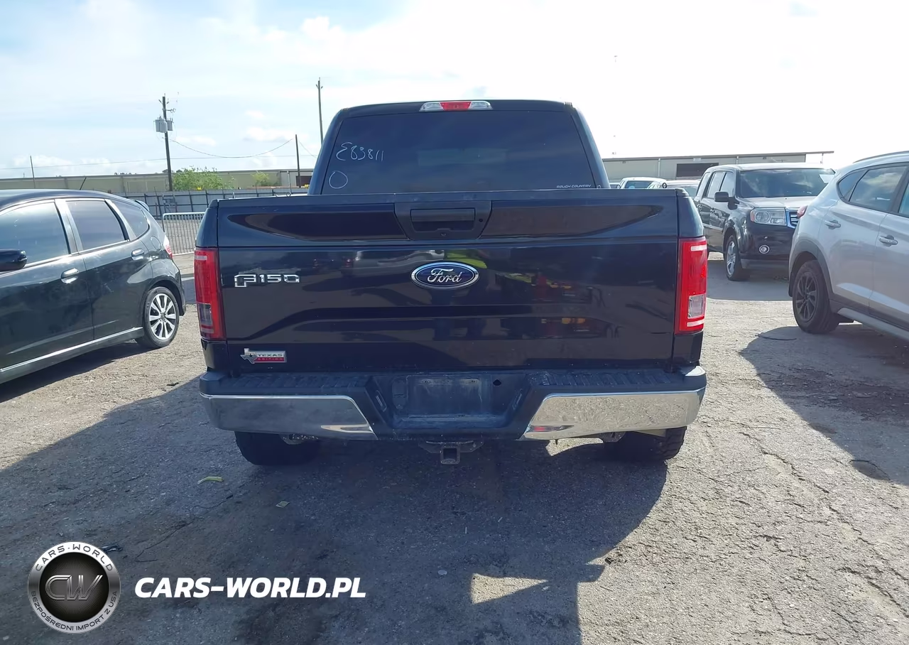 2015 Ford F-150 Xlt VIN:1FTEW1EP9FKE83811 - 15