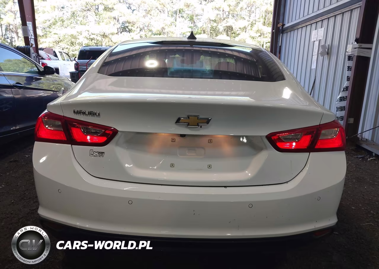 2021 Chevrolet Malibu Fwd 1Fl VIN:1G1ZC5ST1MF087101 - 17