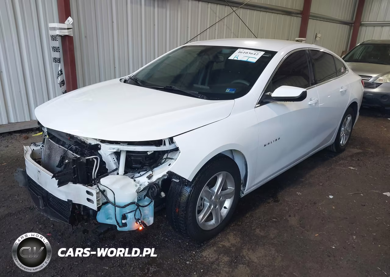 2021 Chevrolet Malibu Fwd 1Fl VIN:1G1ZC5ST1MF087101 - 2