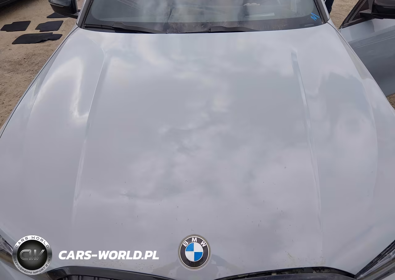 2023 BMW 330I VIN:3MW69FF09P8D53814 - 10