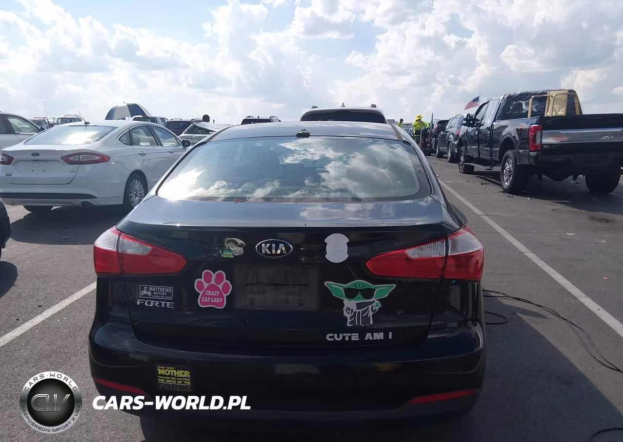 2015 Kia Forte Lx VIN:KNAFX4A68F5318084 - 16