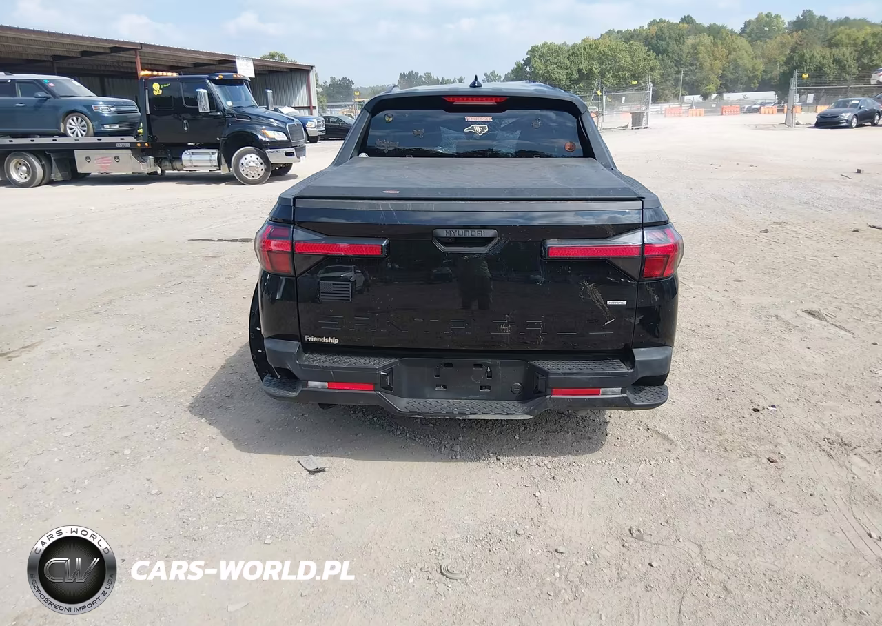 2025 Hyundai Santa Cruz Sel VIN:5NTJBDDE3SH149862 - 16