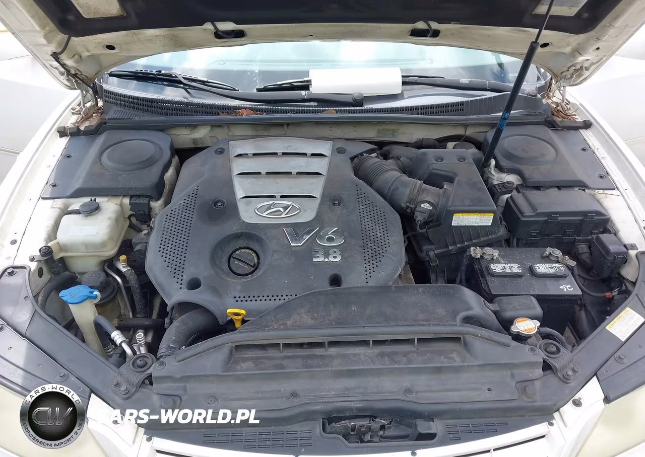 2007 Hyundai Azera Limited-Se VIN:KMHFC46F87A206395 - 10