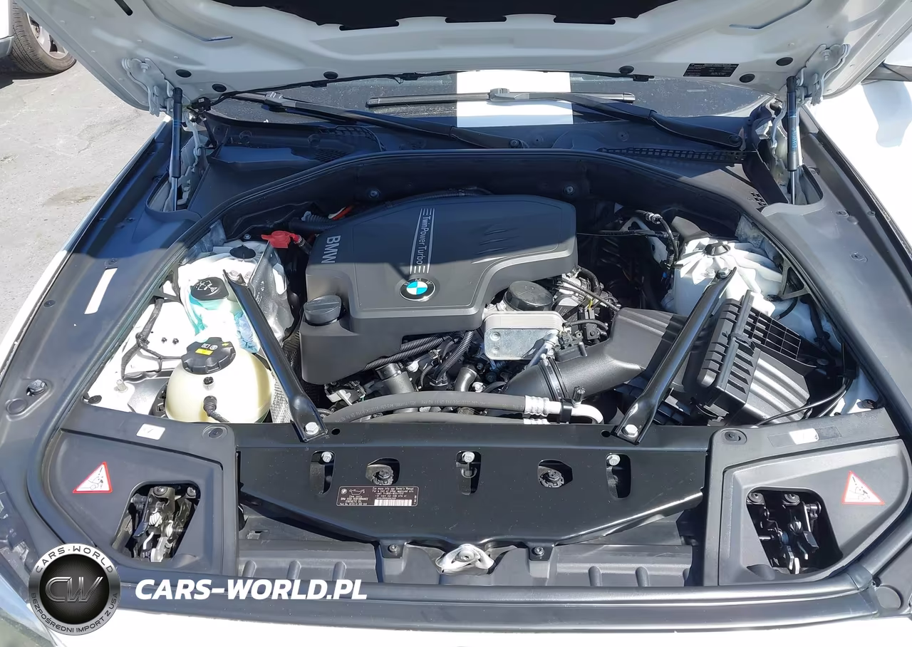 2014 BMW 528I VIN:WBA5A5C52ED508152 - 10