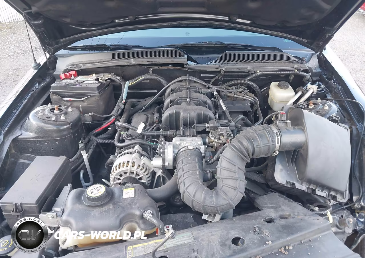 2007 Ford Mustang V6 Deluxe-V6 Premium VIN:1ZVFT84N875342375 - 10