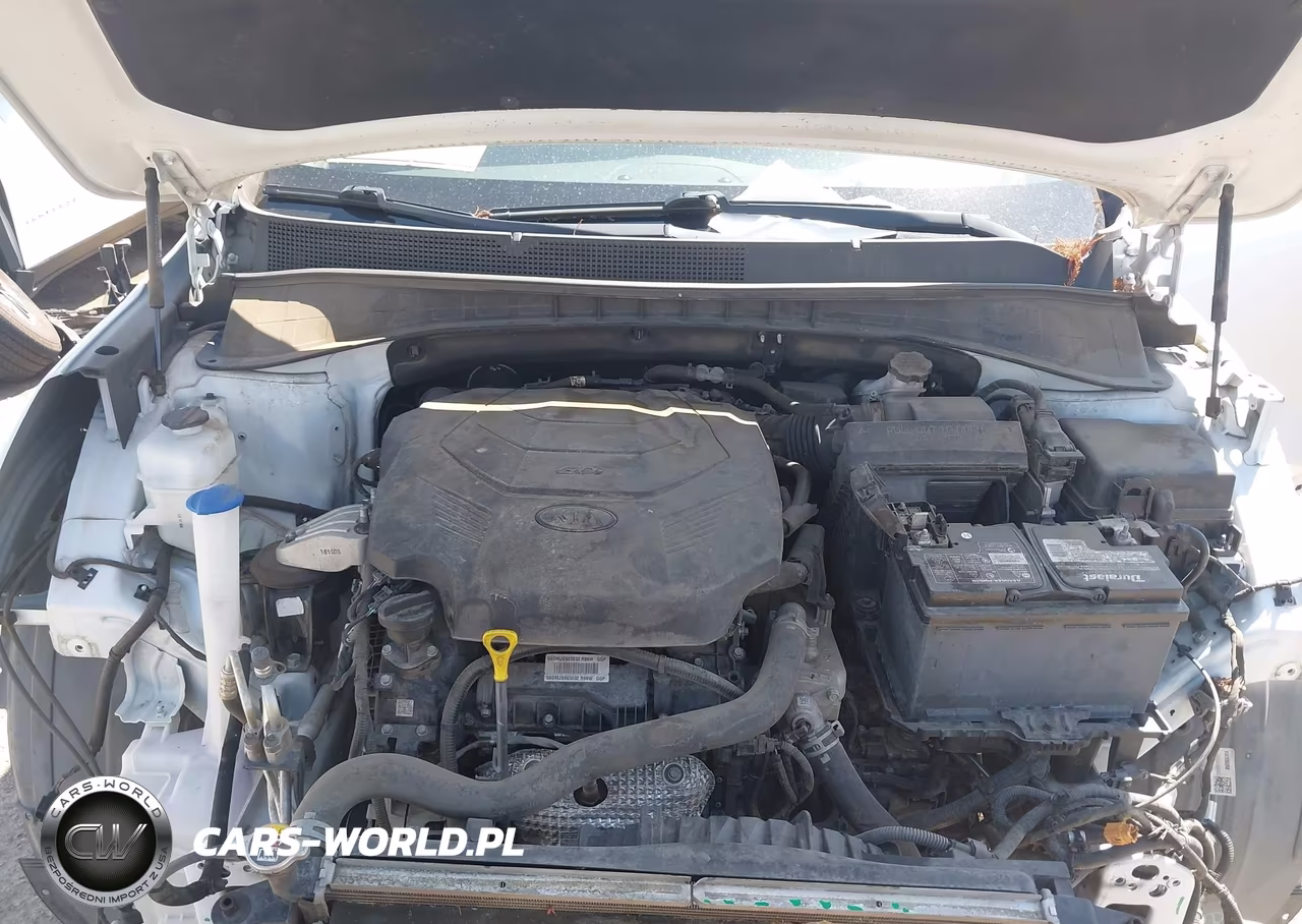 2019 Kia Sorento 3.3L Lx VIN:5XYPG4A59KG563993 - 10