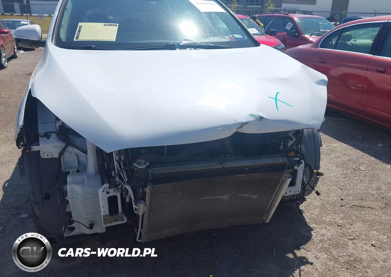 2019 Kia Sorento 3.3L Lx VIN:5XYPG4A59KG563993 - 13