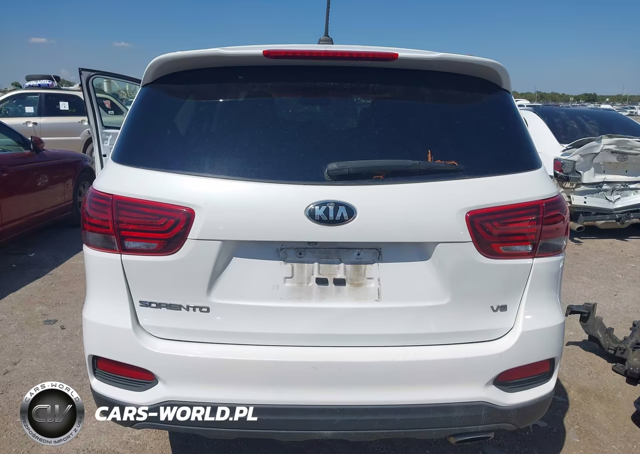 2019 Kia Sorento 3.3L Lx VIN:5XYPG4A59KG563993 - 17