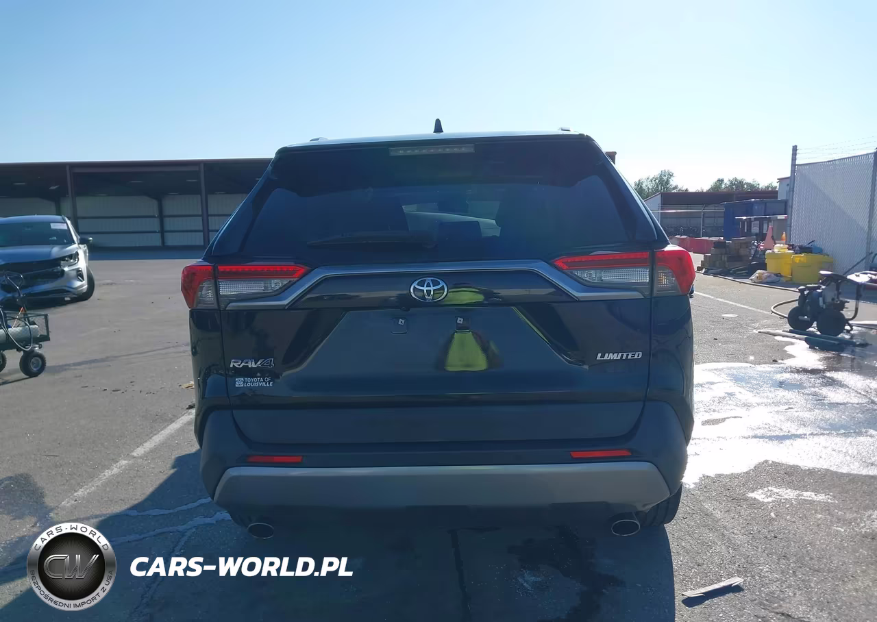 2019 Toyota Rav4 Limited VIN:JTMY1RFV3KJ006038 - 17